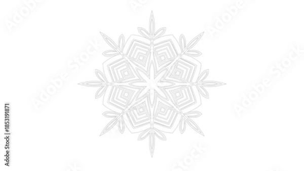 Obraz Decorative Mandala Snowflake Pattern