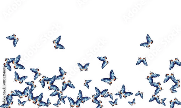 Fototapeta Adobe Illustrator Artwork