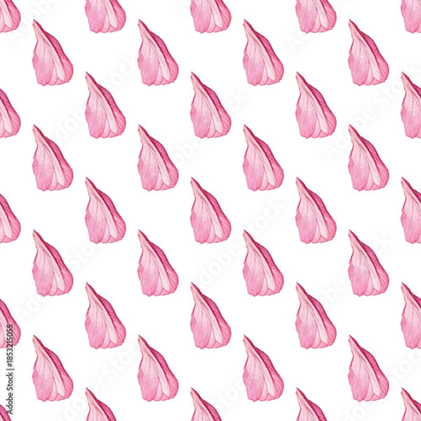 Fototapeta Adobe Illustrator Artwork