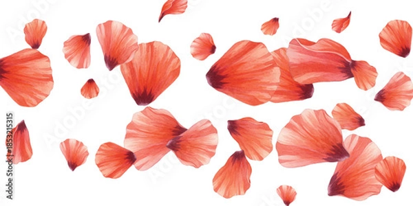 Fototapeta Adobe Illustrator Artwork