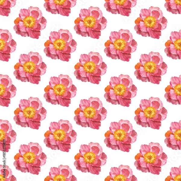 Fototapeta Adobe Illustrator Artwork