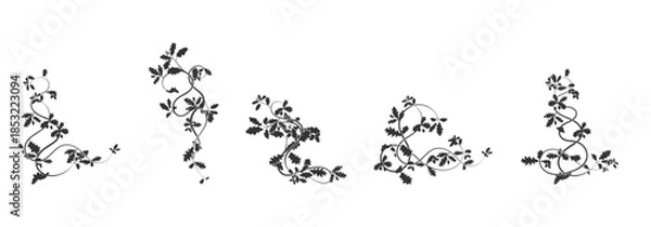 Fototapeta patterns  ornament oak weaving  complex elements