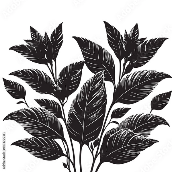 Obraz leave silhouette