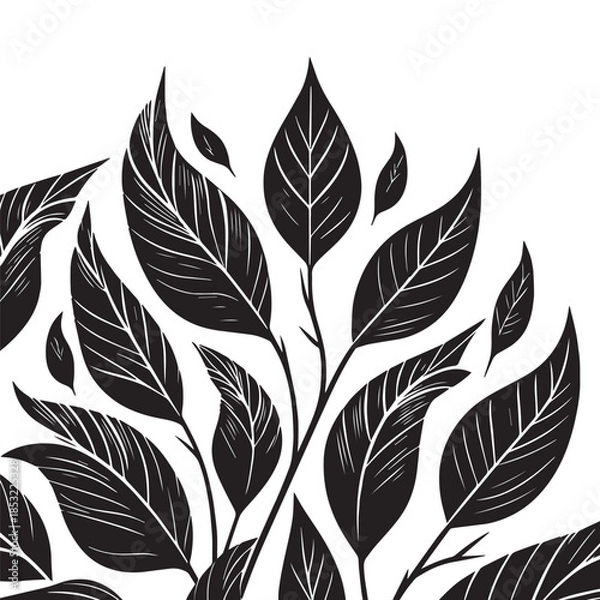Obraz leave silhouette