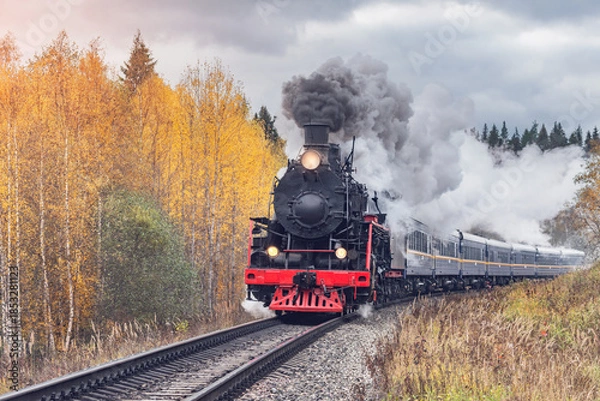 Obraz Steam retro train moves in the autumn forest.