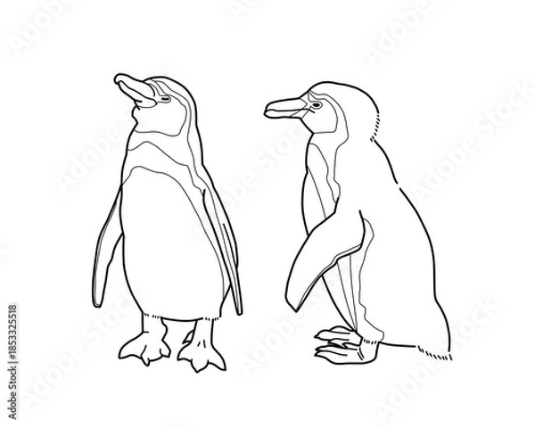 Obraz フンボルトペンギンのモノクロイラスト