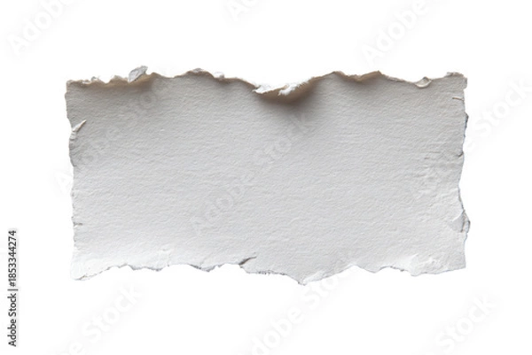 Obraz Torn White Paper on White Background
