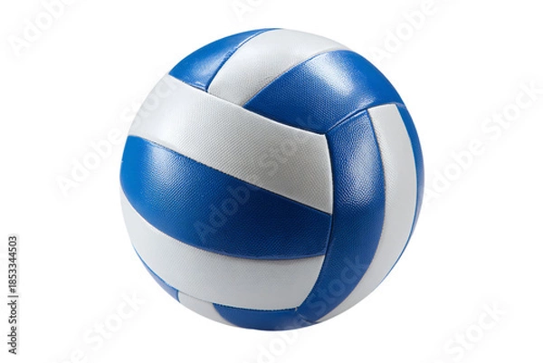 Obraz Blue and White Volleyball