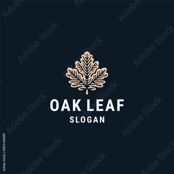 Obraz Oak leaf logo design template vector illustration