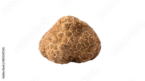 Obraz Isolated brown truffle on a white background