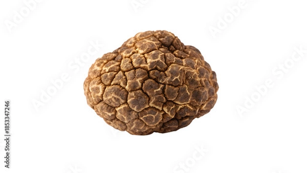 Obraz Isolated brown truffle on a white background