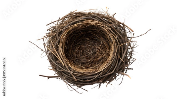 Obraz An empty brown bird nest made of natural straw and twigs isolated on a white background