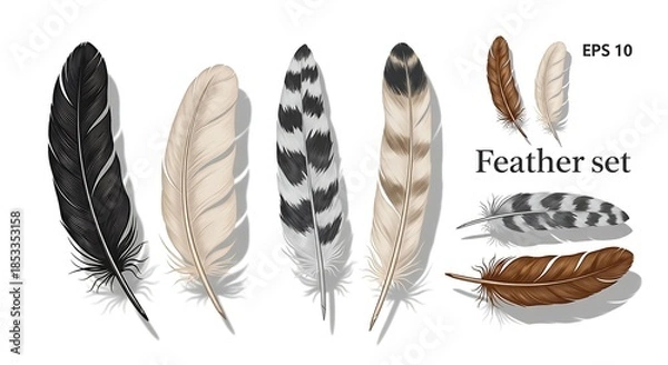 Obraz Realistic Feather Set Isolated on White Background.