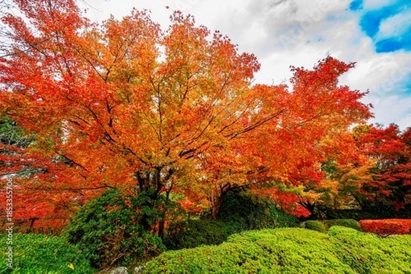 Obraz 日田市西有田の紅葉