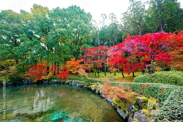 Obraz 日田市西有田の紅葉