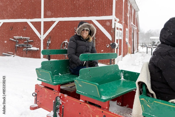 Obraz young woman in winter park