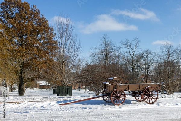 Obraz Landscape with old wagon