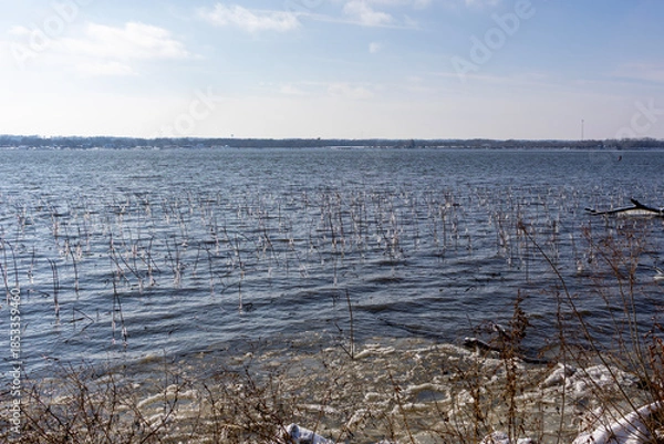 Obraz frozen river in winter
