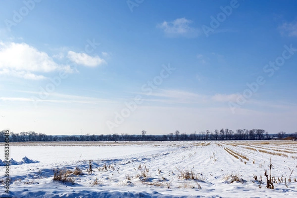 Obraz winter landscape with snow