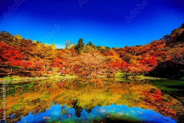 Obraz 用作公園の紅葉