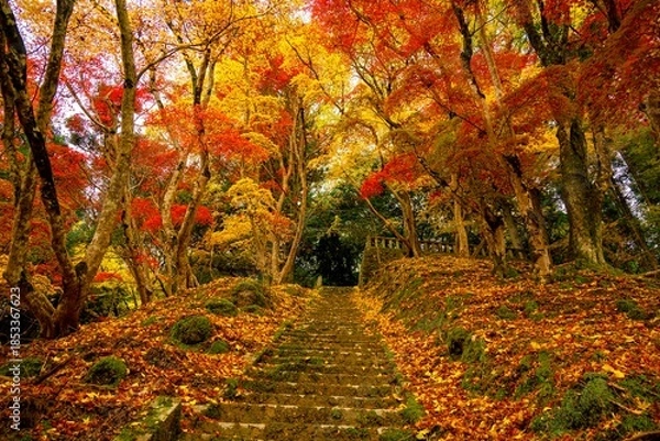 Obraz 御霊もみじ