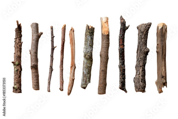 Obraz Assorted Wooden Branches on White Background