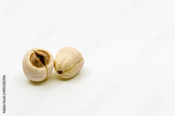 Obraz 蓮の実　ハスの実　白背景