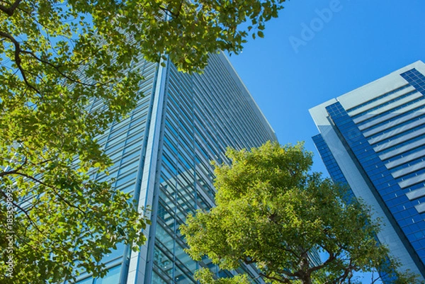 Fototapeta 高層ビル　オフィス街
