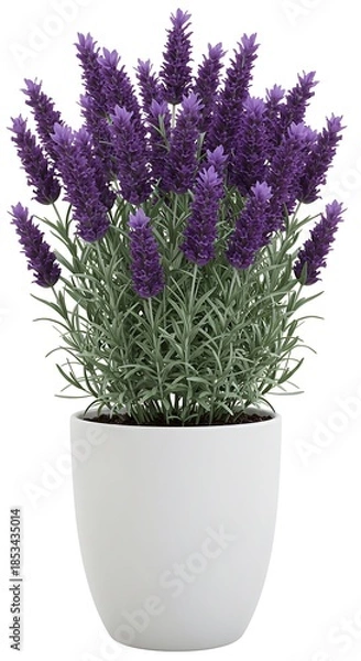 Fototapeta ラベンダーの静寂: 3Dレンダリング