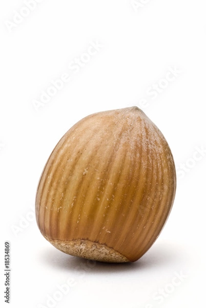 Fototapeta Avellana de pie.