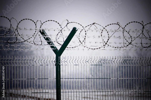 Obraz Barb wire fence at the cold winter day