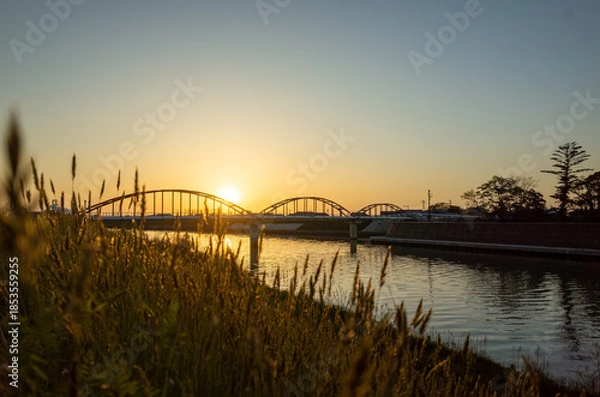 Fototapeta 綺麗な夕焼けの川の風景