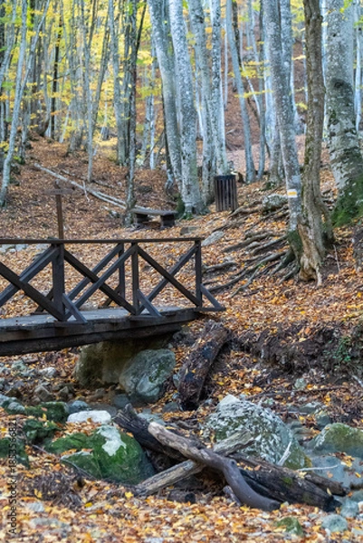 Fototapeta Forest autumn bridge, tranquil wooden bridge crossing a rocky stream in a vibrant fall forest