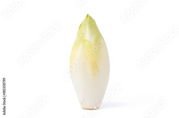 Obraz Chicoree, Nahaufnahme