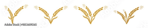 Obraz grain wheat icon