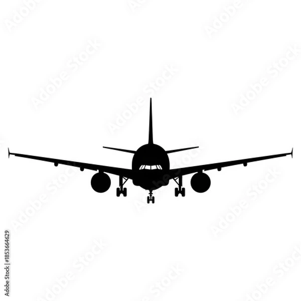 Obraz Airplane Underside View isolated on transparent background