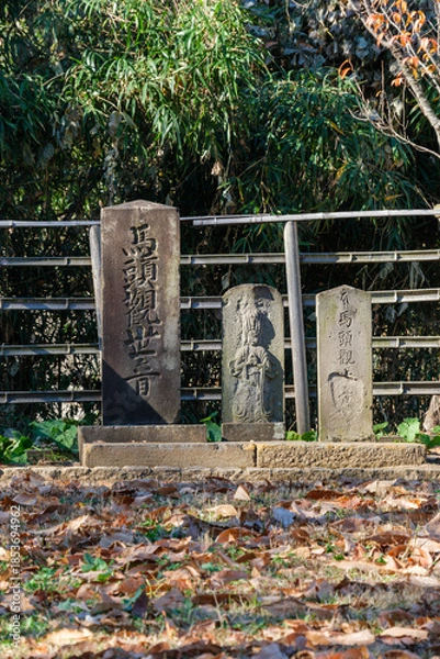 Obraz 落ち葉と石塔