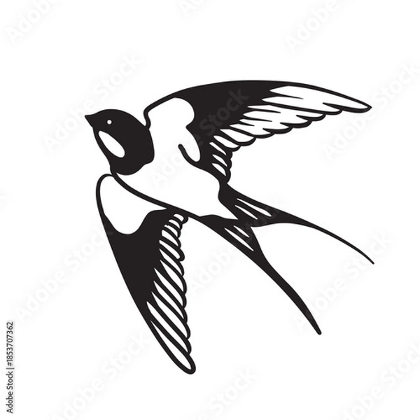 Obraz bird vintage hand drawing