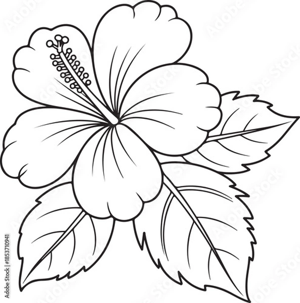 Obraz Black and white hibiscus flower