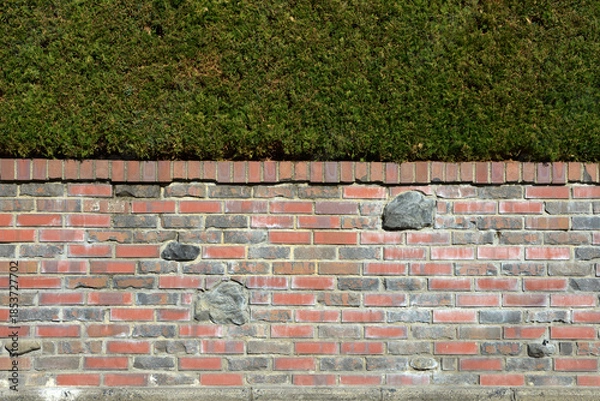 Obraz レンガ塀