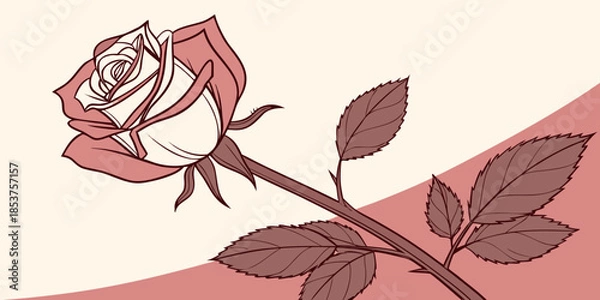 Fototapeta Single rose on a stem