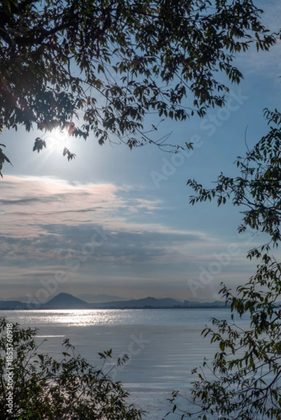 Obraz 早朝の琵琶湖　草木と湖、朝の光がつくりだす風景　滋賀県大津市