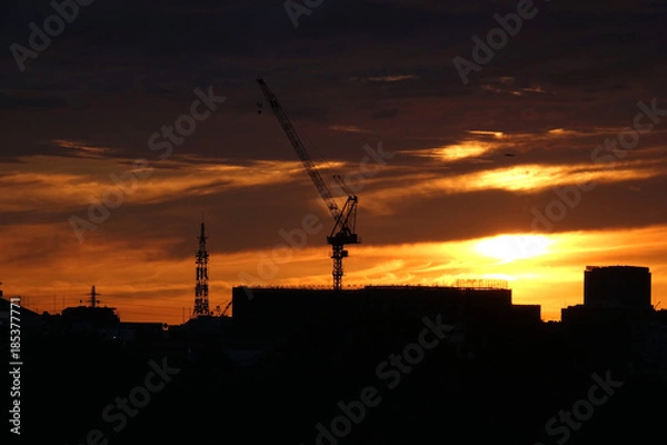 Obraz 朝日とクレーン_741