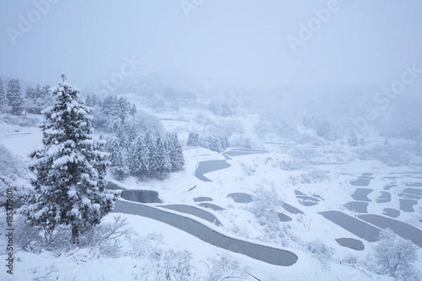 Obraz 星峠の棚田 雪景色