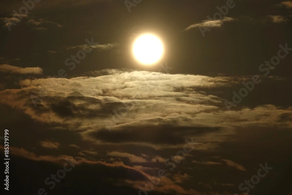 Fototapeta 昇る太陽_745