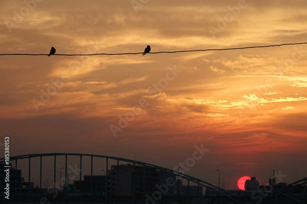 Obraz 昇る朝日と鳥_747