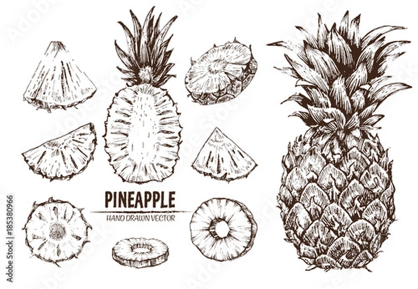 Obraz Digital vector detailed line art pineapple fruit