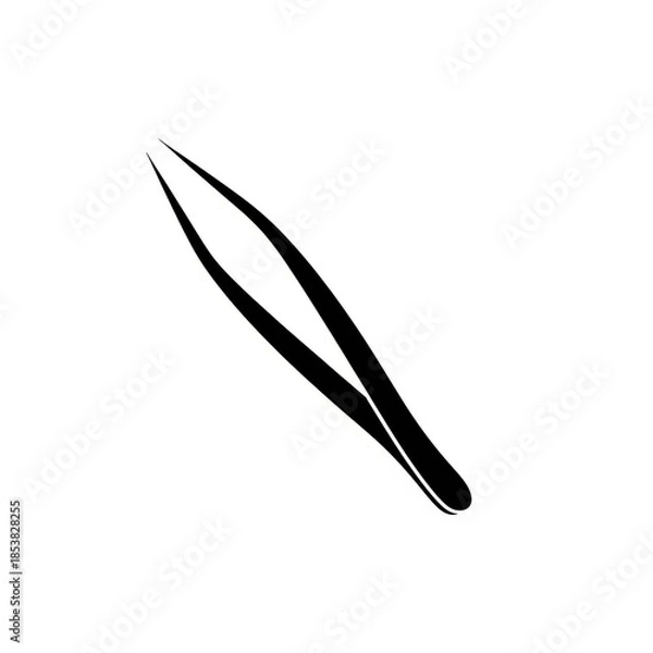 Obraz black feather isolated on white