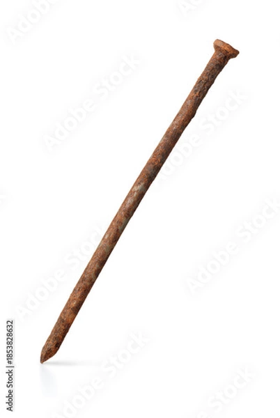 Obraz Side view of single rusty nail