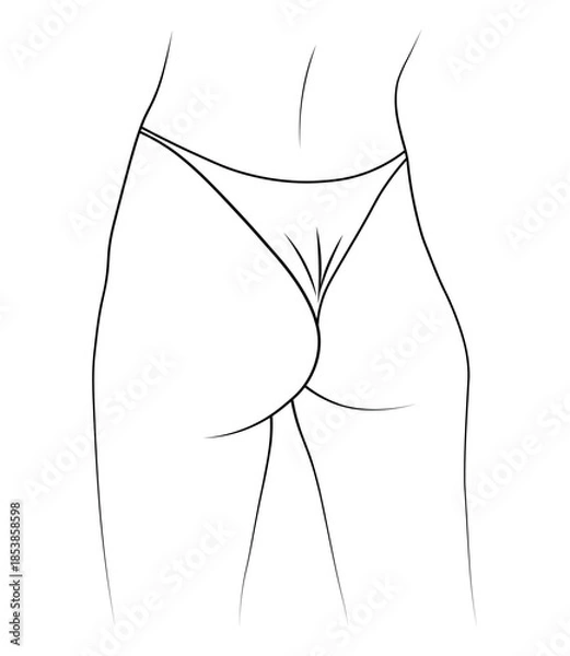 Obraz vector illustration butt woman